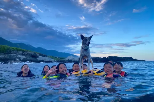 Photos of Ocean (CampingTaiwan's doggo)