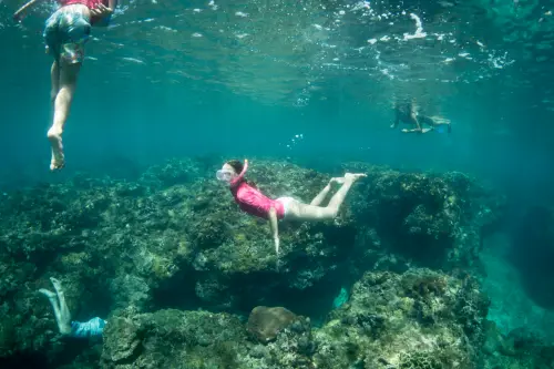 Child snorkelling underwater exploring coral reef