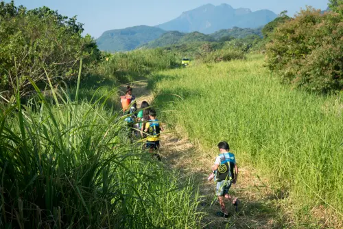 Campers hiking through tall grass with mountains in the distance