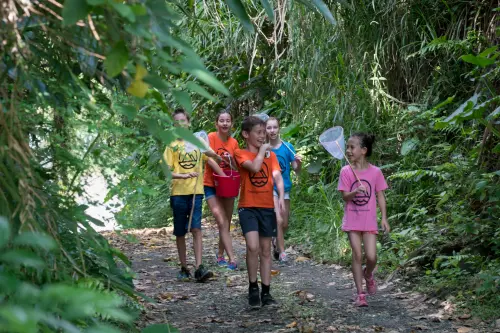 Campers hiking through a jungle trail with butterfly nets