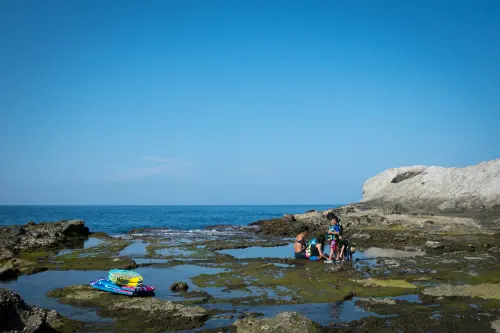 Low tide rock pools, a safe window into the beauty of the ocean.