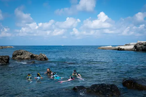 Heloise, Clemence, Violet, Mimi, Timothy and Megan set out snorkelling.