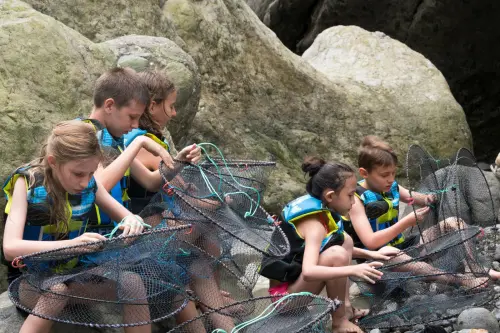 Little campers focused on setting up their shrimp traps perfectly… No shrimp will be escaping today!
