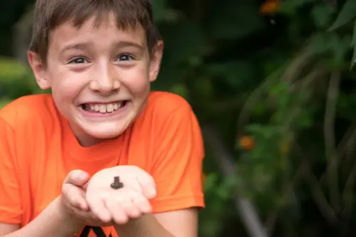 Tim just loved finding animal friends.