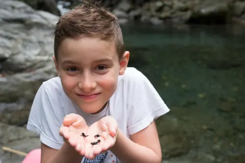 Tadpoles!