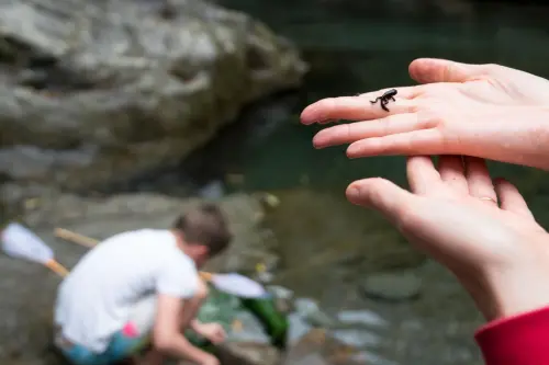 We think this little guy was the star actor “Toothless” in “How to Train Your Dragon”.