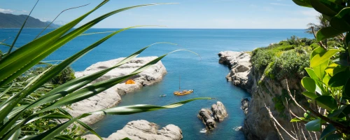 CampingTaiwan Website Design Case Study