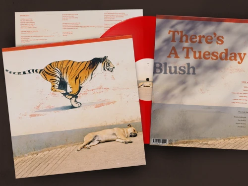 Detail of the Blush album cover design for indie band, There’s A Tuesday, designed by Front&Back