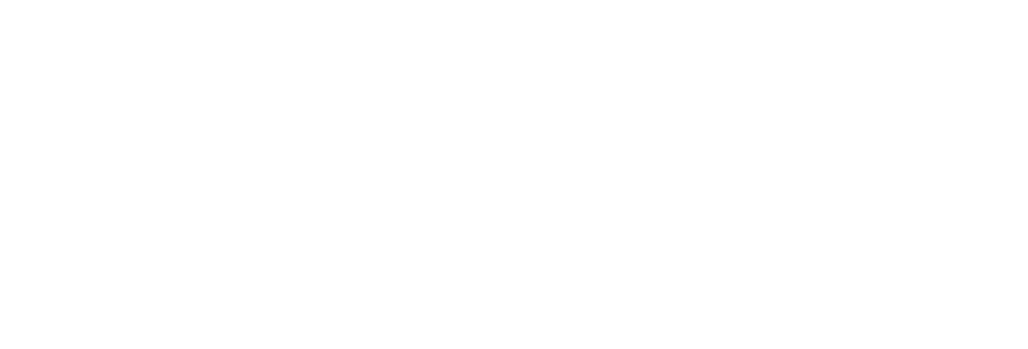 WordPress CMS logo
