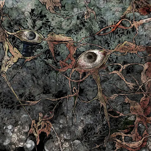 唱片評論 Ashen - Split EP + H1N1 EP