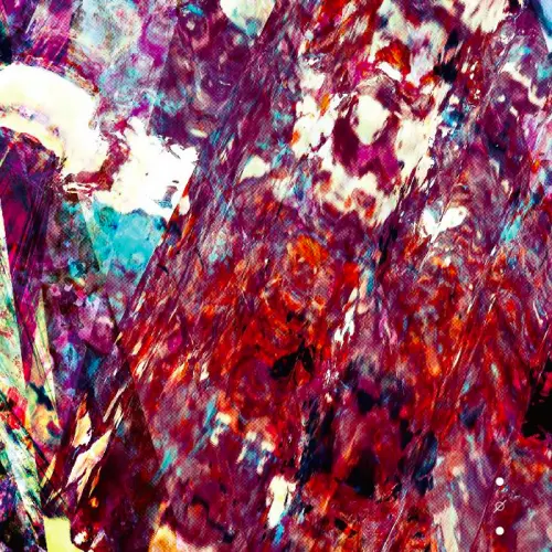 CD Review Forests - No Fun
