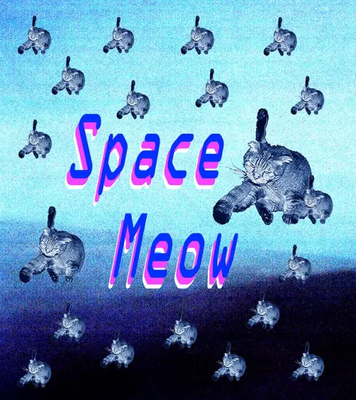 Space Meow (US) + IGU Band + 拾參樂團