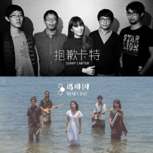 抱歉卡特 + 瑪啡因